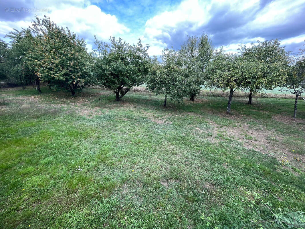 Maison à SUCE-SUR-ERDRE