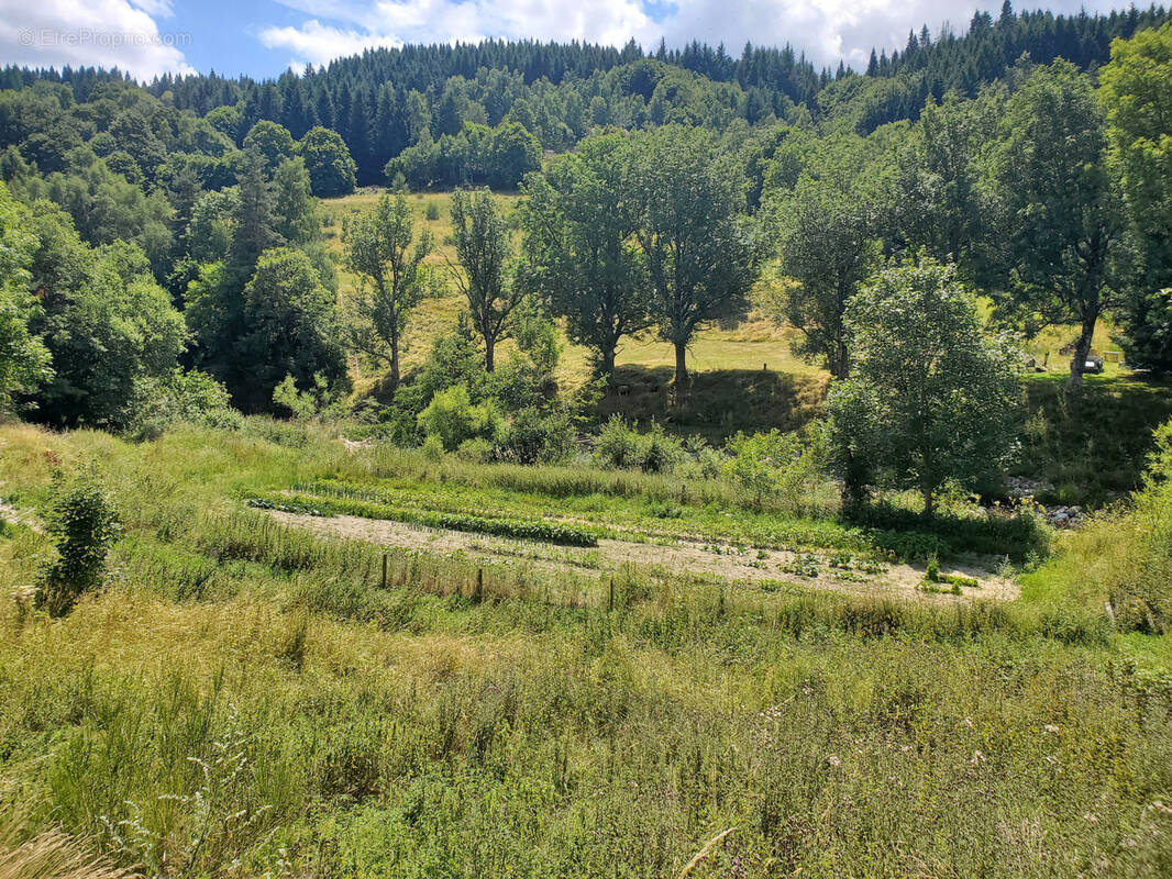 Terrain à SAINT-CIRGUES-EN-MONTAGNE