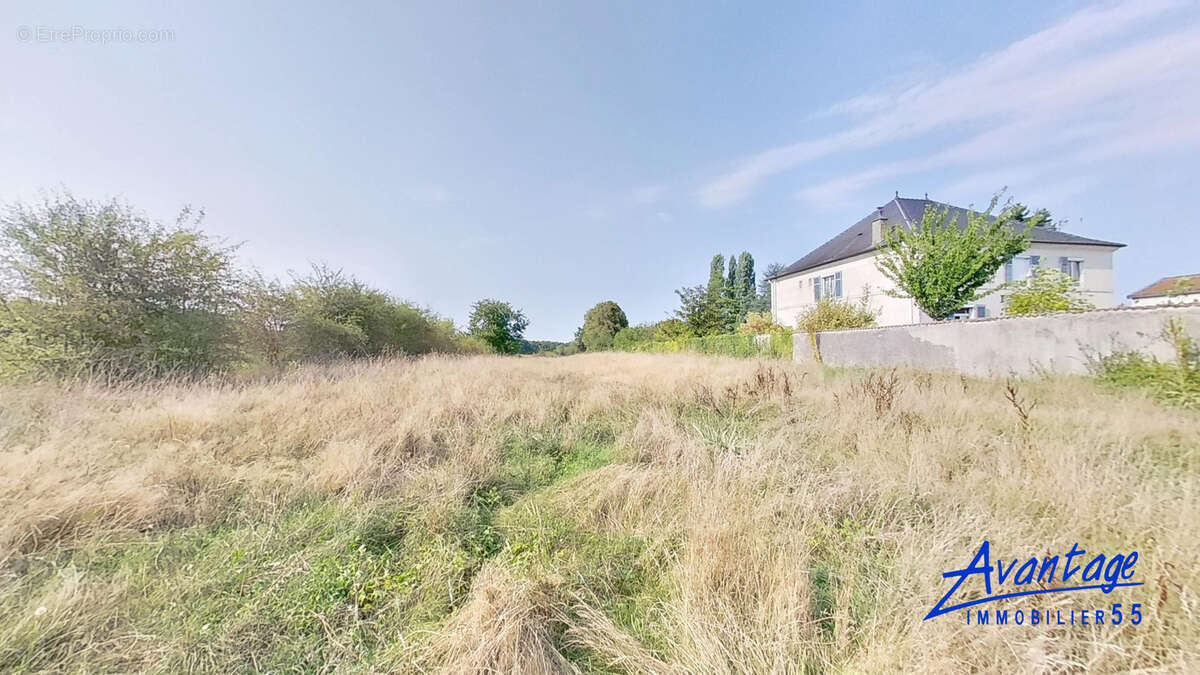 Terrain à VILLOTTE-DEVANT-LOUPPY