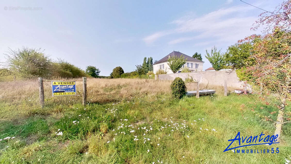 Terrain à VILLOTTE-DEVANT-LOUPPY