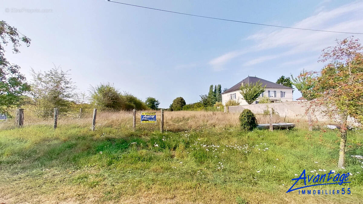 Terrain à VILLOTTE-DEVANT-LOUPPY