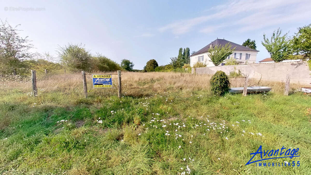 Terrain à VILLOTTE-DEVANT-LOUPPY