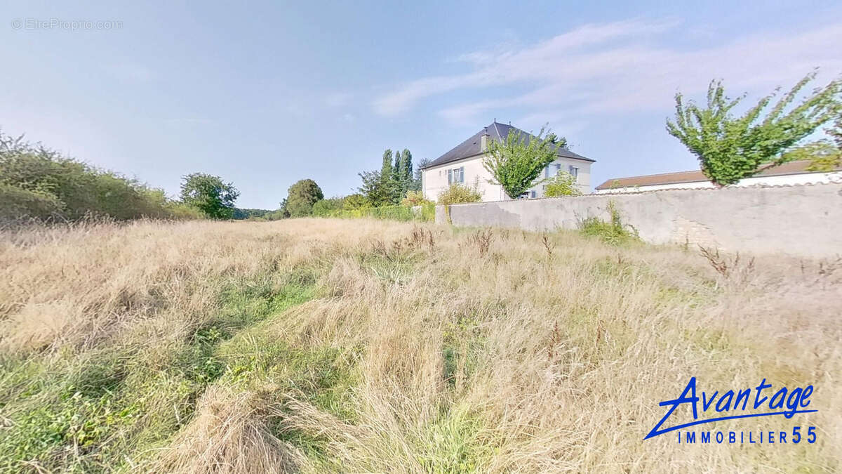 Terrain à VILLOTTE-DEVANT-LOUPPY