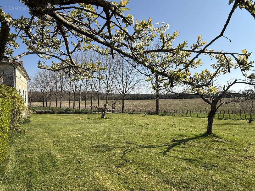 Maison à AUBETERRE-SUR-DRONNE