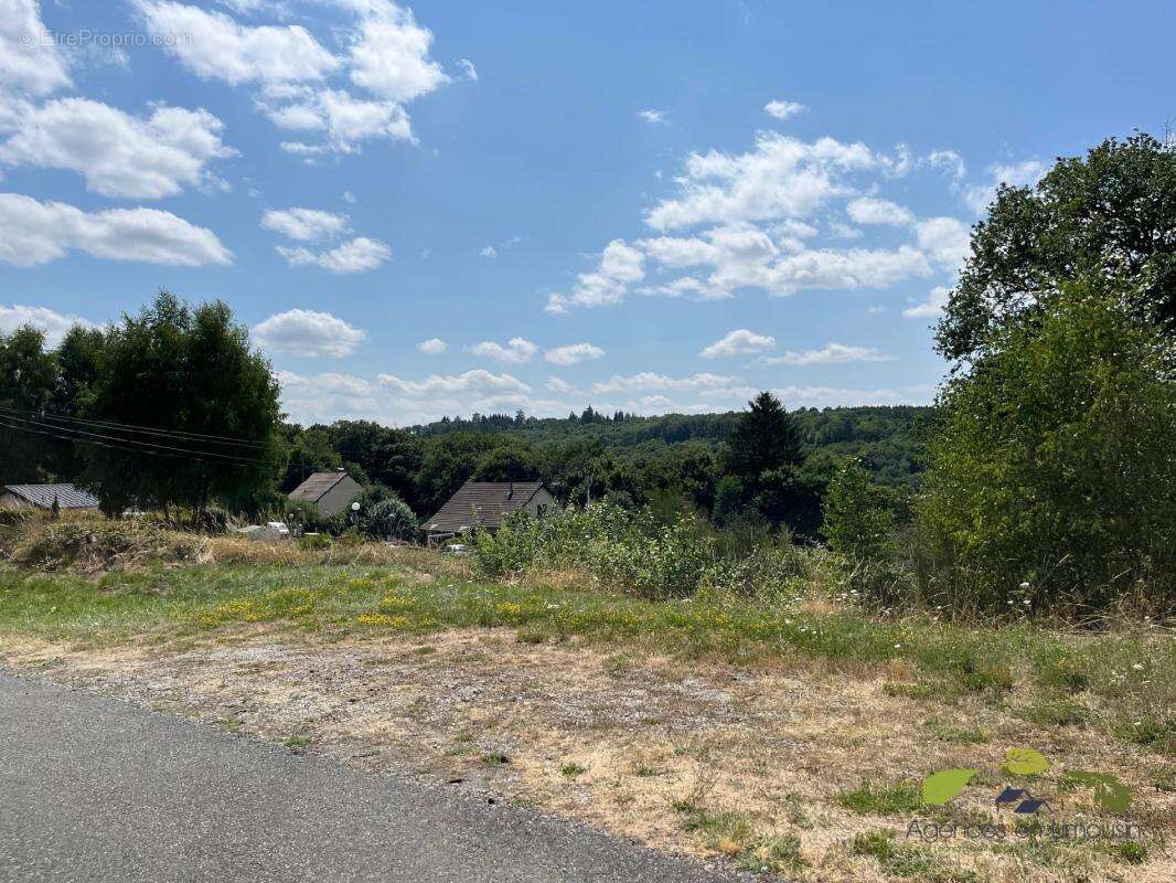 Terrain à TREIGNAC
