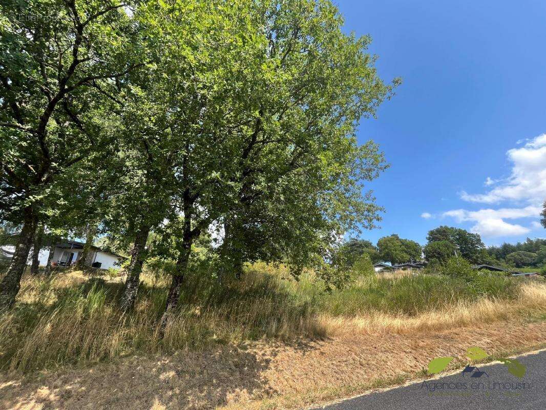 Terrain à TREIGNAC