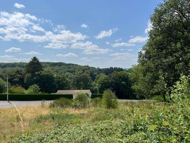 Terrain à TREIGNAC