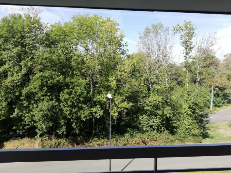 Appartement à MONTBELIARD