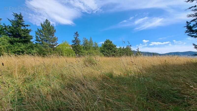 Terrain à LE BRUSQUET