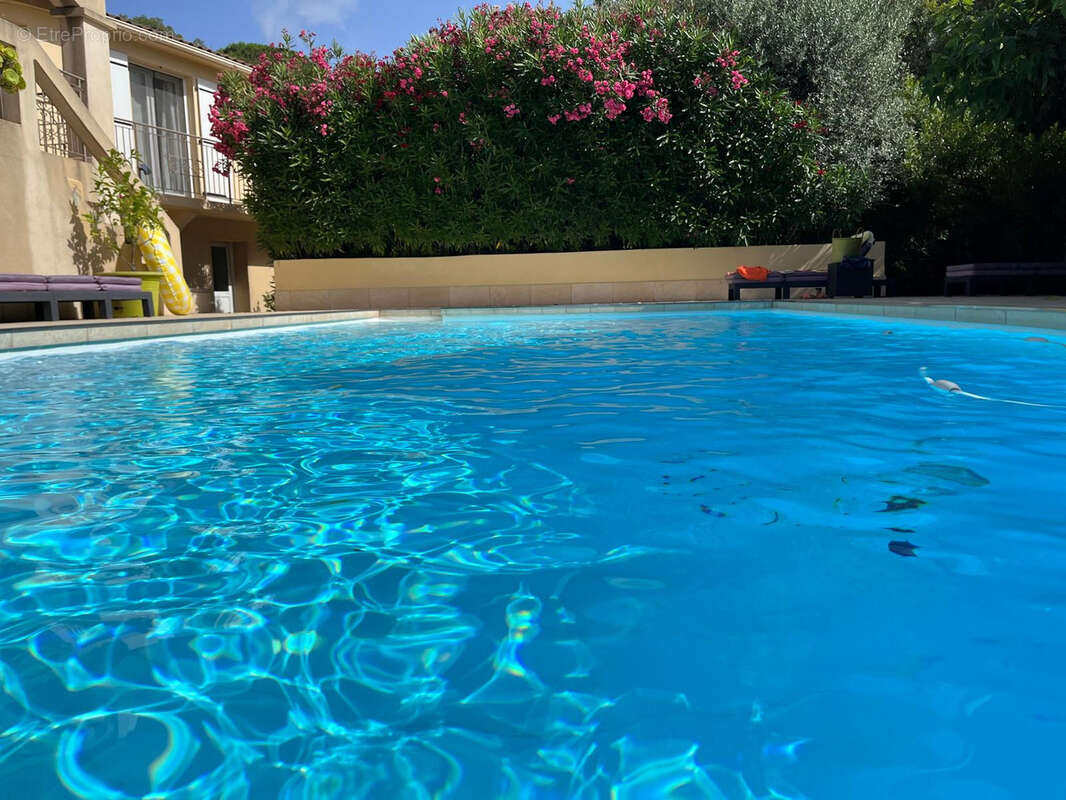 Maison à PORTO-VECCHIO