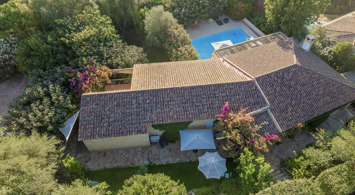 Maison à PORTO-VECCHIO