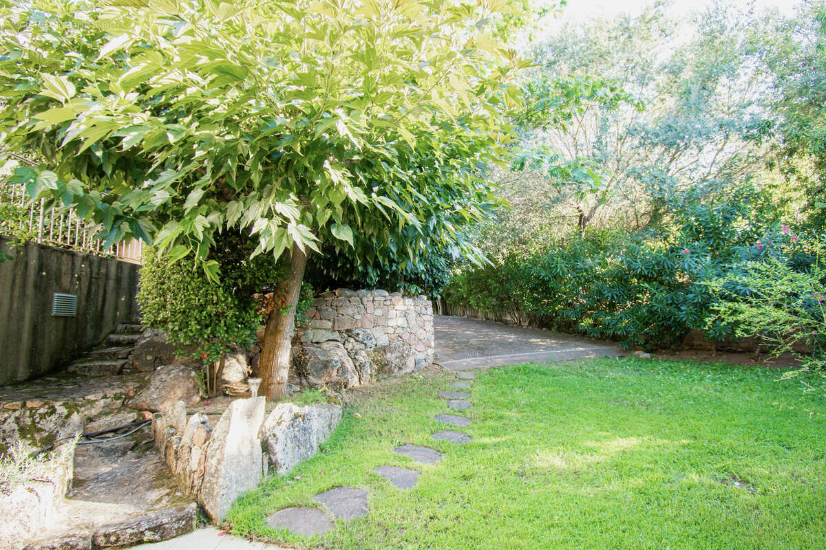 Maison à PORTO-VECCHIO