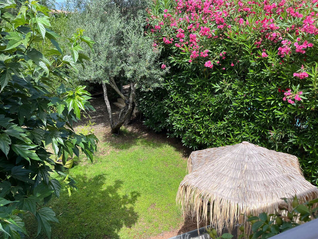 Maison à PORTO-VECCHIO