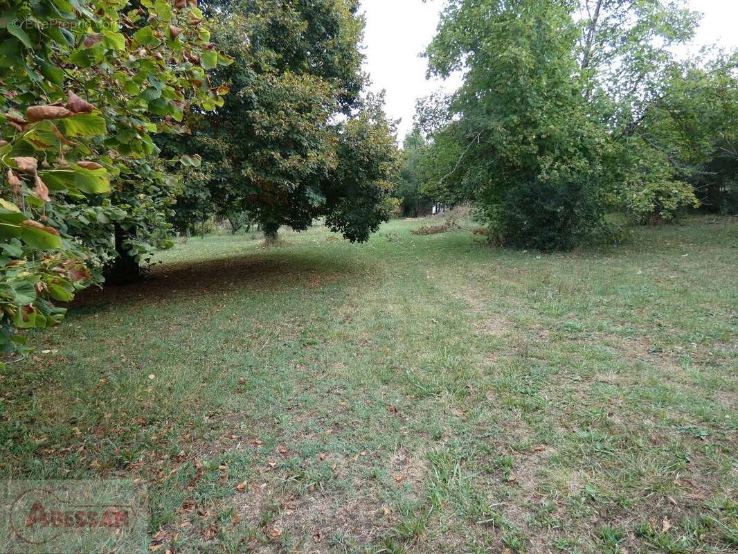 Commerce à CORDES-SUR-CIEL