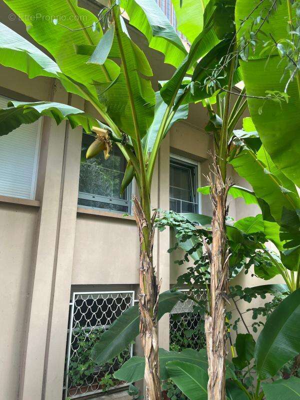 Commerce à CALUIRE-ET-CUIRE