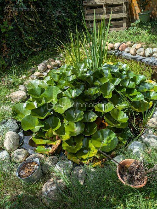Maison à PONT-DE-L&#039;ISERE