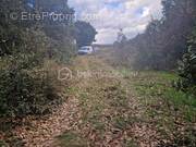 Terrain à LA CAPELLE-ET-MASMOLENE