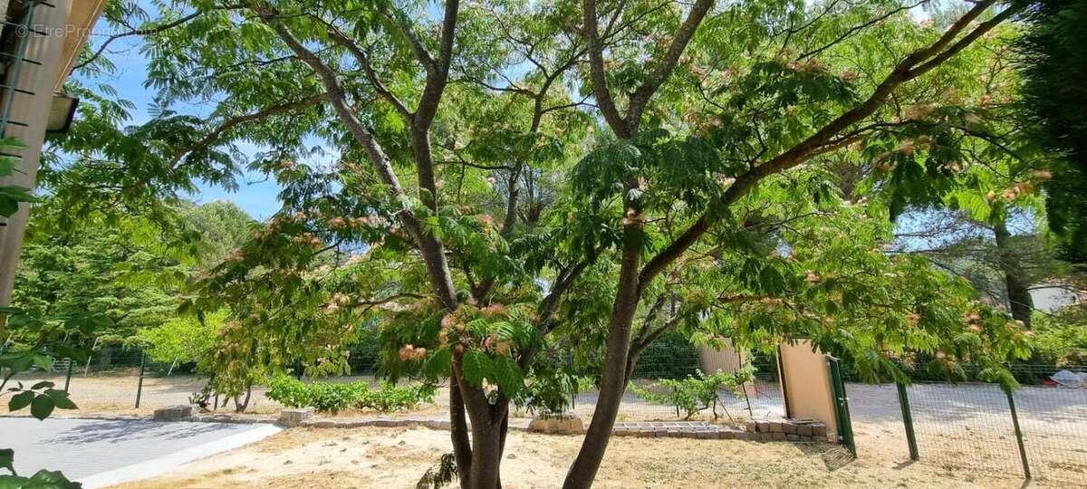 Maison à CUGES-LES-PINS