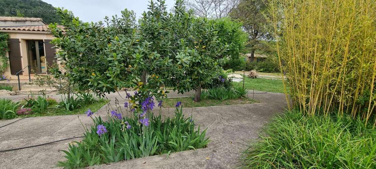 Maison à CUGES-LES-PINS