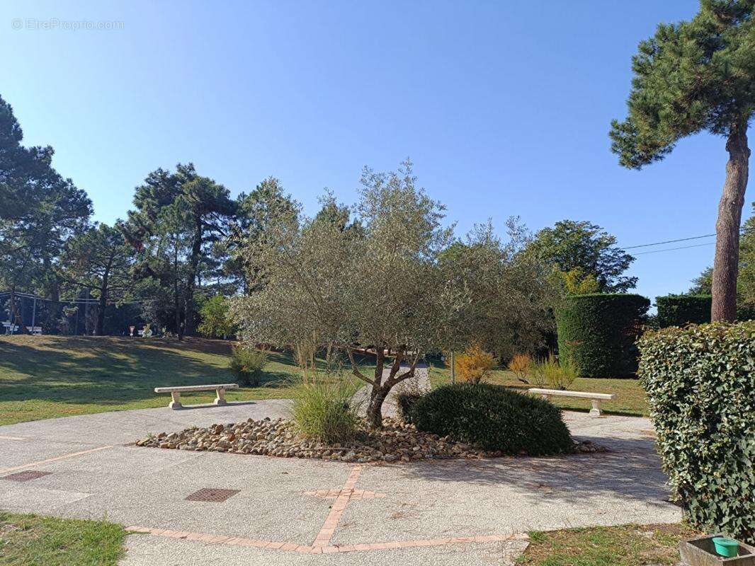 Appartement à SAINT-GEORGES-DE-DIDONNE