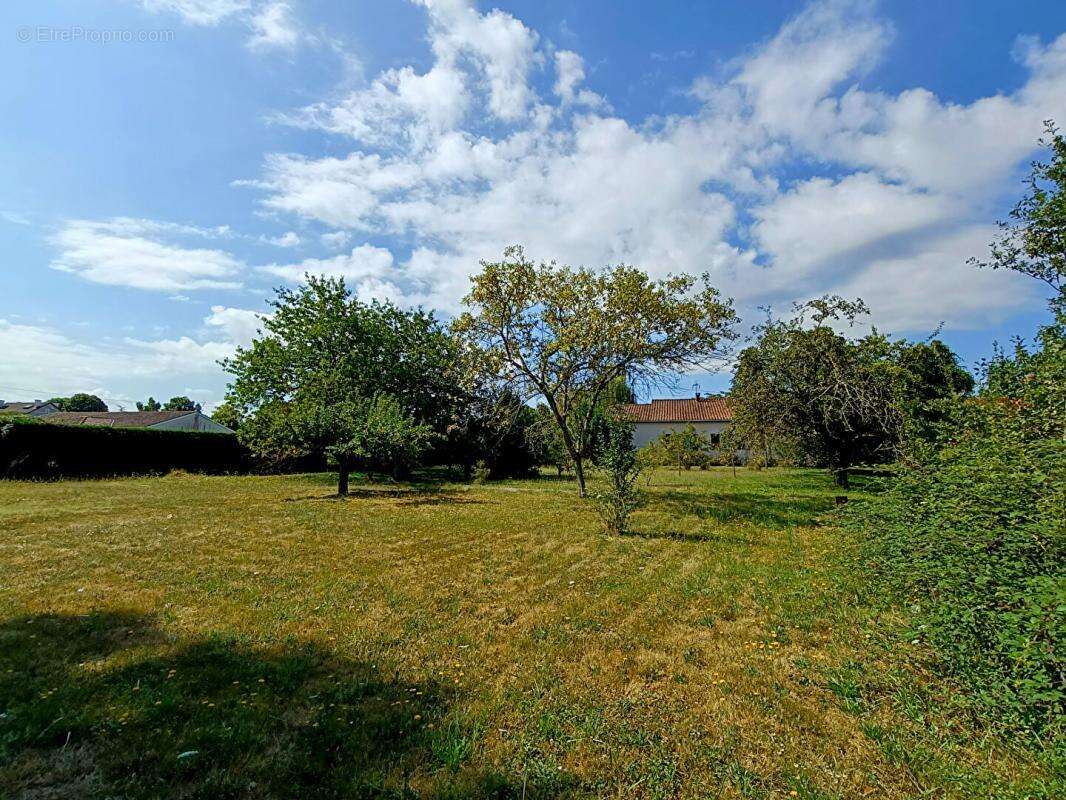 Maison à LE TEMPLE-SUR-LOT