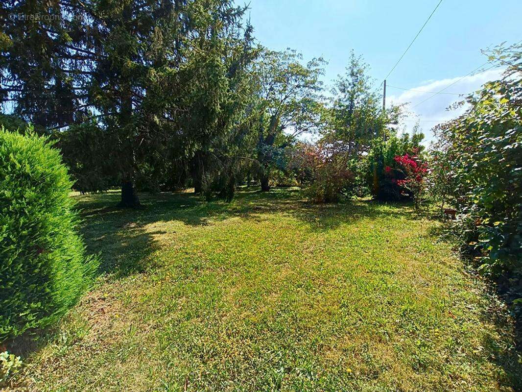 Maison à LE TEMPLE-SUR-LOT
