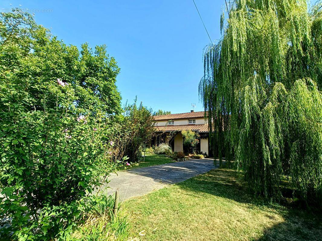 Maison à LE TEMPLE-SUR-LOT