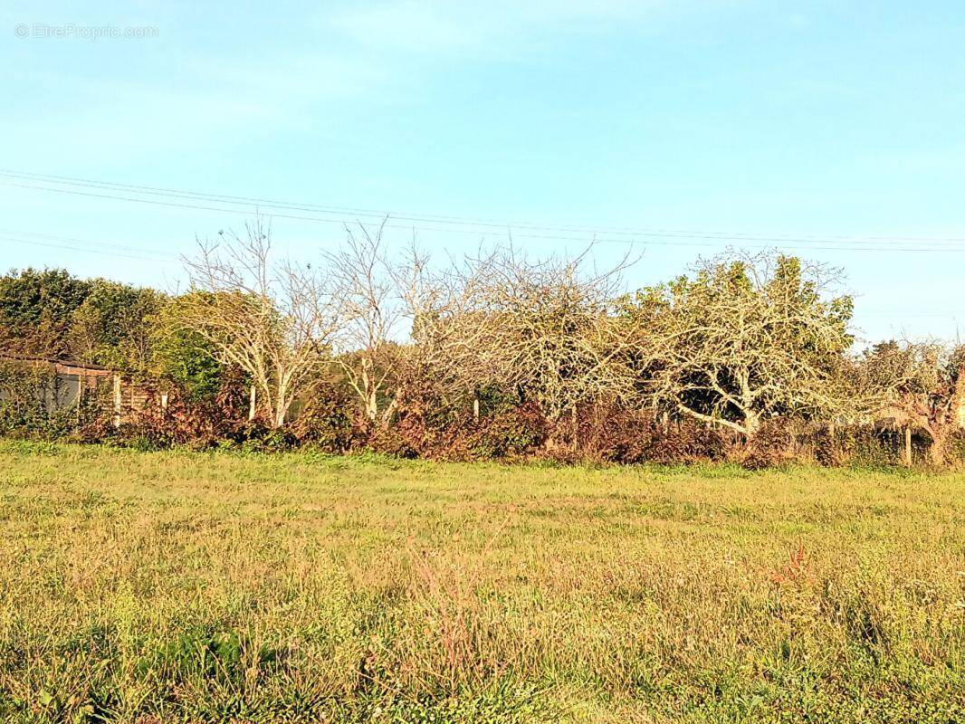 Terrain à SAINT-MARTIN-D&#039;ARY