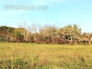 Terrain à SAINT-MARTIN-D&#039;ARY