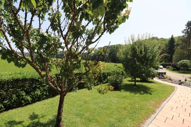 Maison à WENTZWILLER