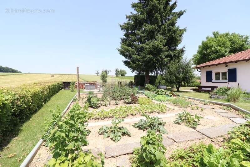 Maison à WENTZWILLER