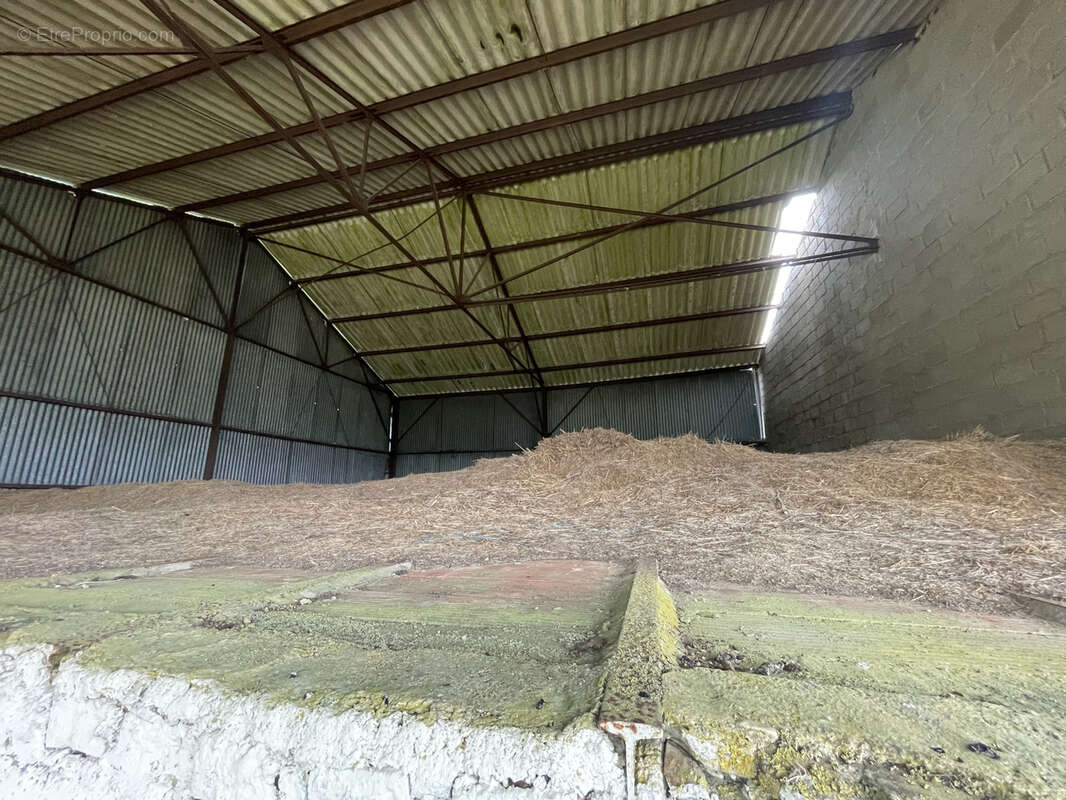 Terrain à MAUBERT-FONTAINE