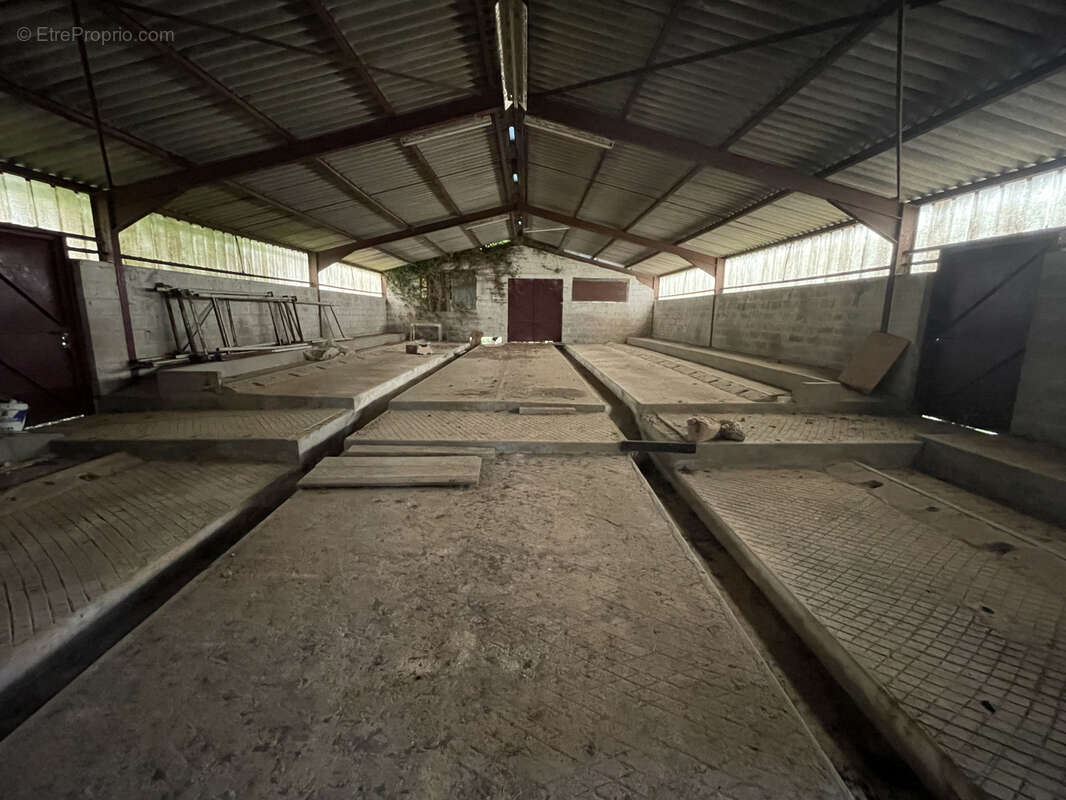 Terrain à MAUBERT-FONTAINE