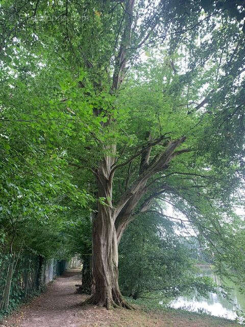 Autre à SAINT-LEGER-EN-BRAY