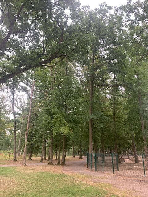 Autre à SAINT-LEGER-EN-BRAY