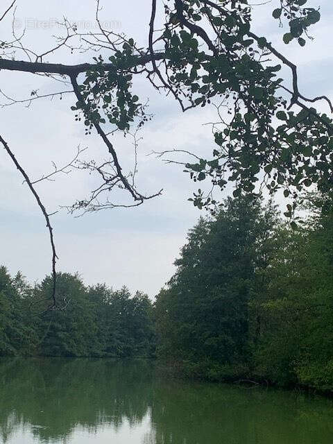 Autre à SAINT-LEGER-EN-BRAY