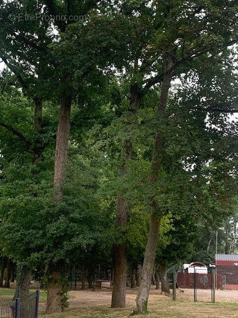 Autre à SAINT-LEGER-EN-BRAY