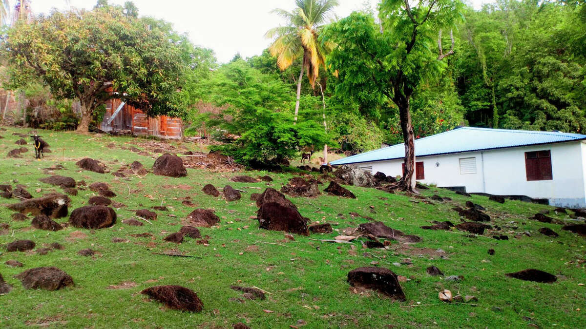 Terrain à BOUILLANTE