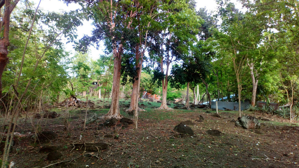 Terrain à BOUILLANTE