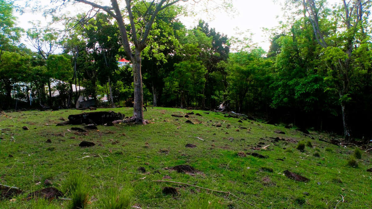 Terrain à BOUILLANTE