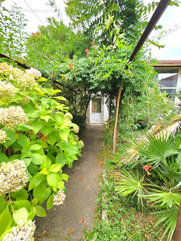 Maison à SAINTE-LIVRADE-SUR-LOT