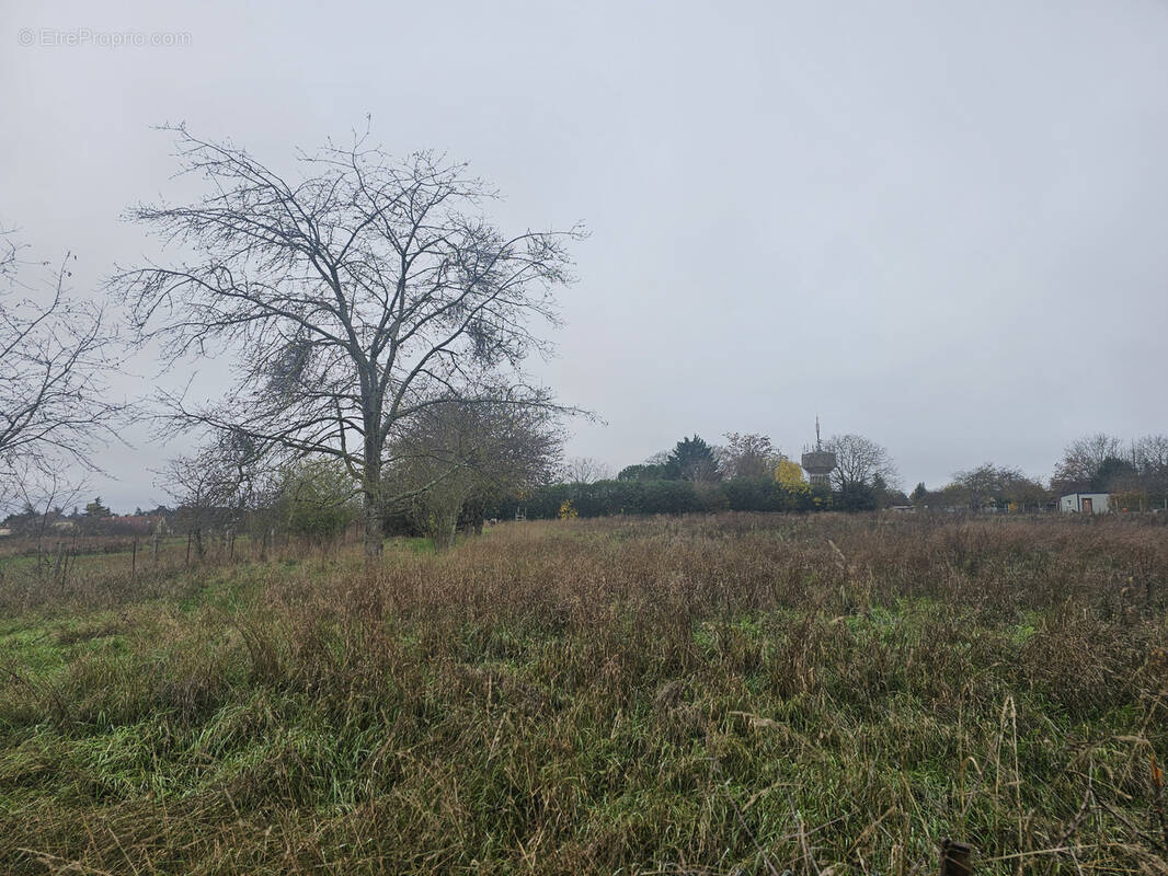 Terrain à DUN-SUR-AURON