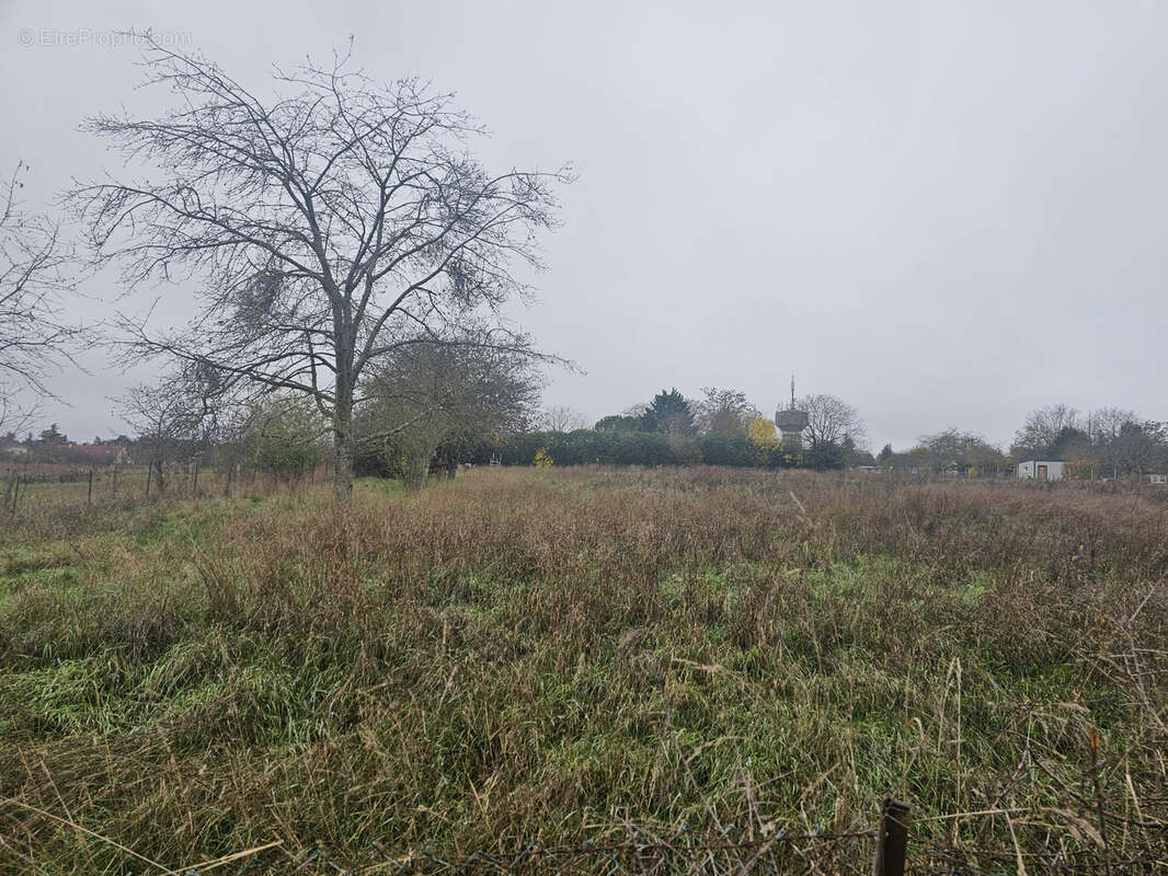Terrain à DUN-SUR-AURON