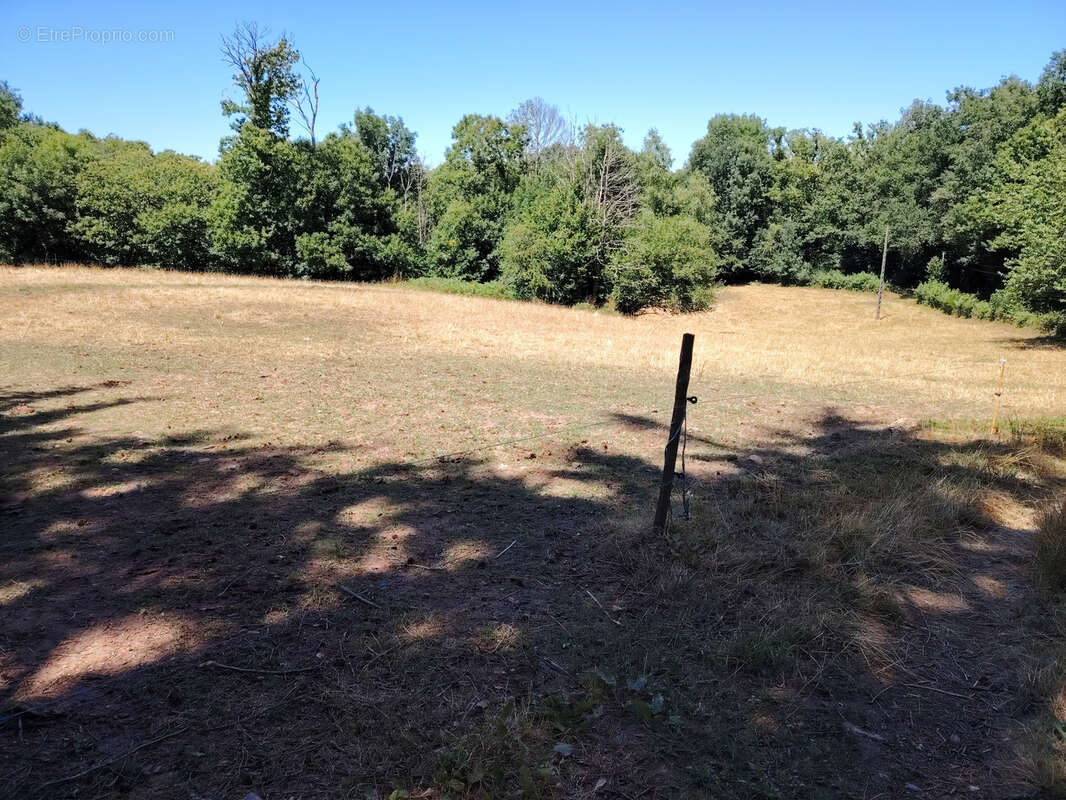 Maison à CHATEAU-CHERVIX