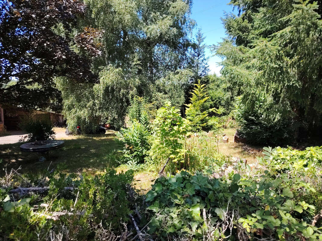 Maison à CHATEAU-CHERVIX