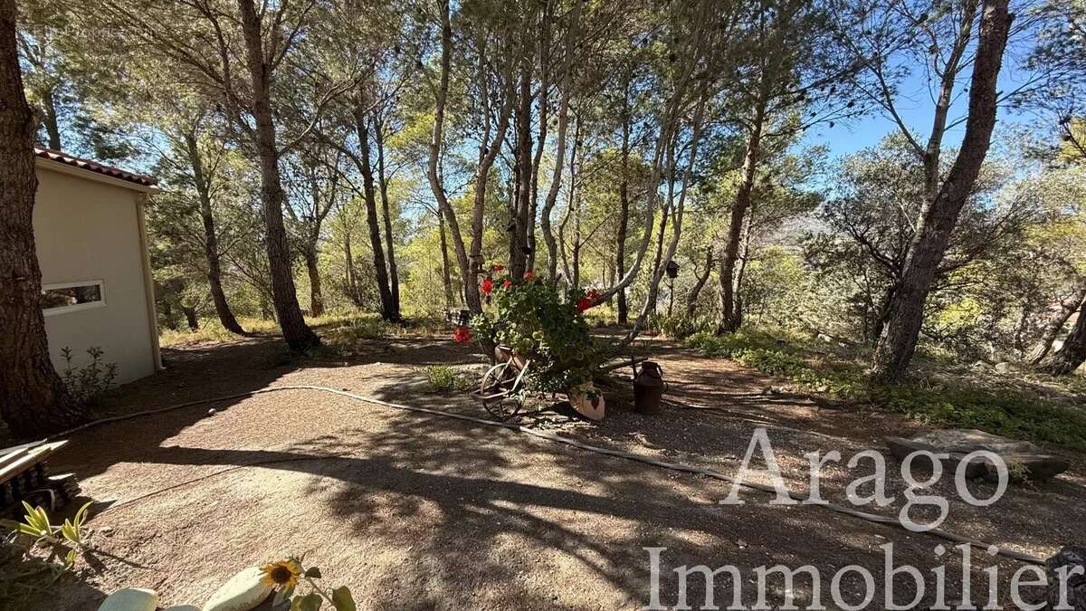 Maison à CASES-DE-PENE