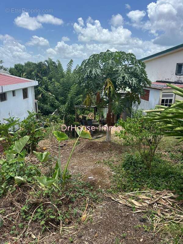 Terrain à LE LAMENTIN