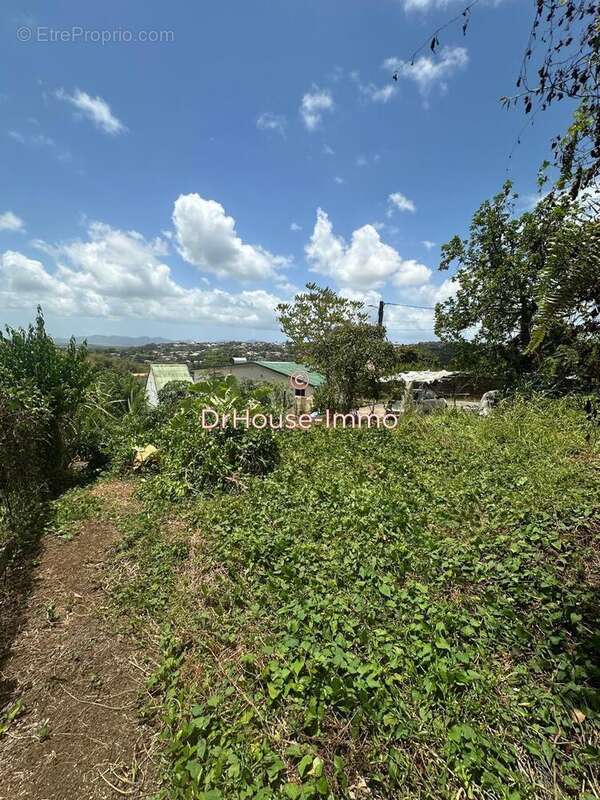 Terrain à LE LAMENTIN