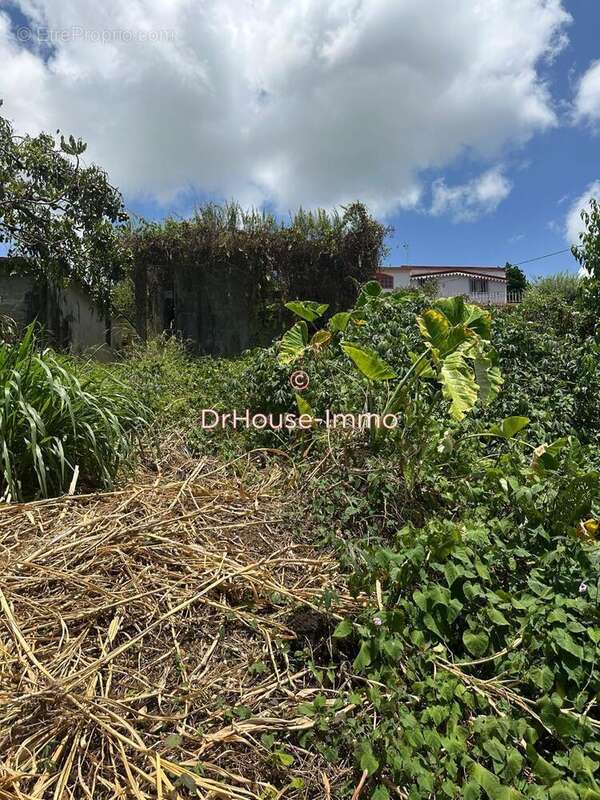 Terrain à LE LAMENTIN