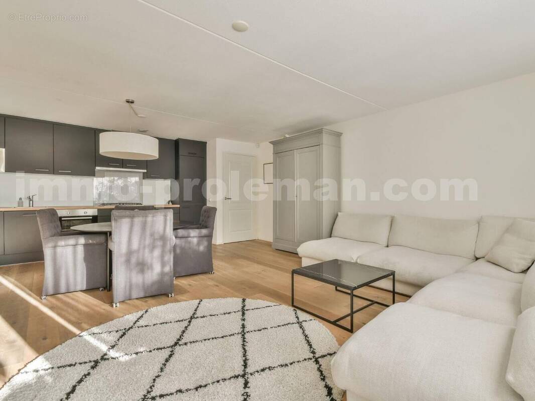 Appartement_t3_Annemasse_Genève_Ceva_tramway_Suisse_investissement_colocation_famille_Séjour - Appartement à ANNEMASSE